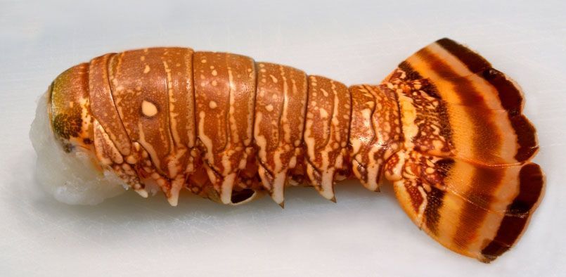 8oz South African Lobster Tails