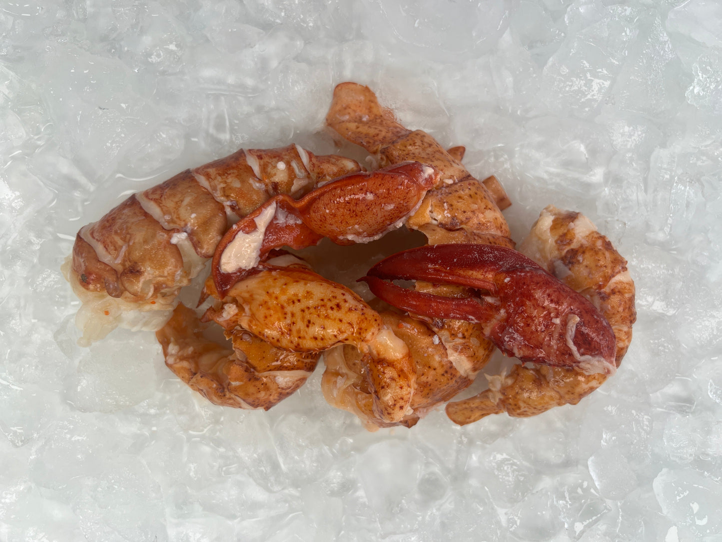 Steamed Lobster Meat