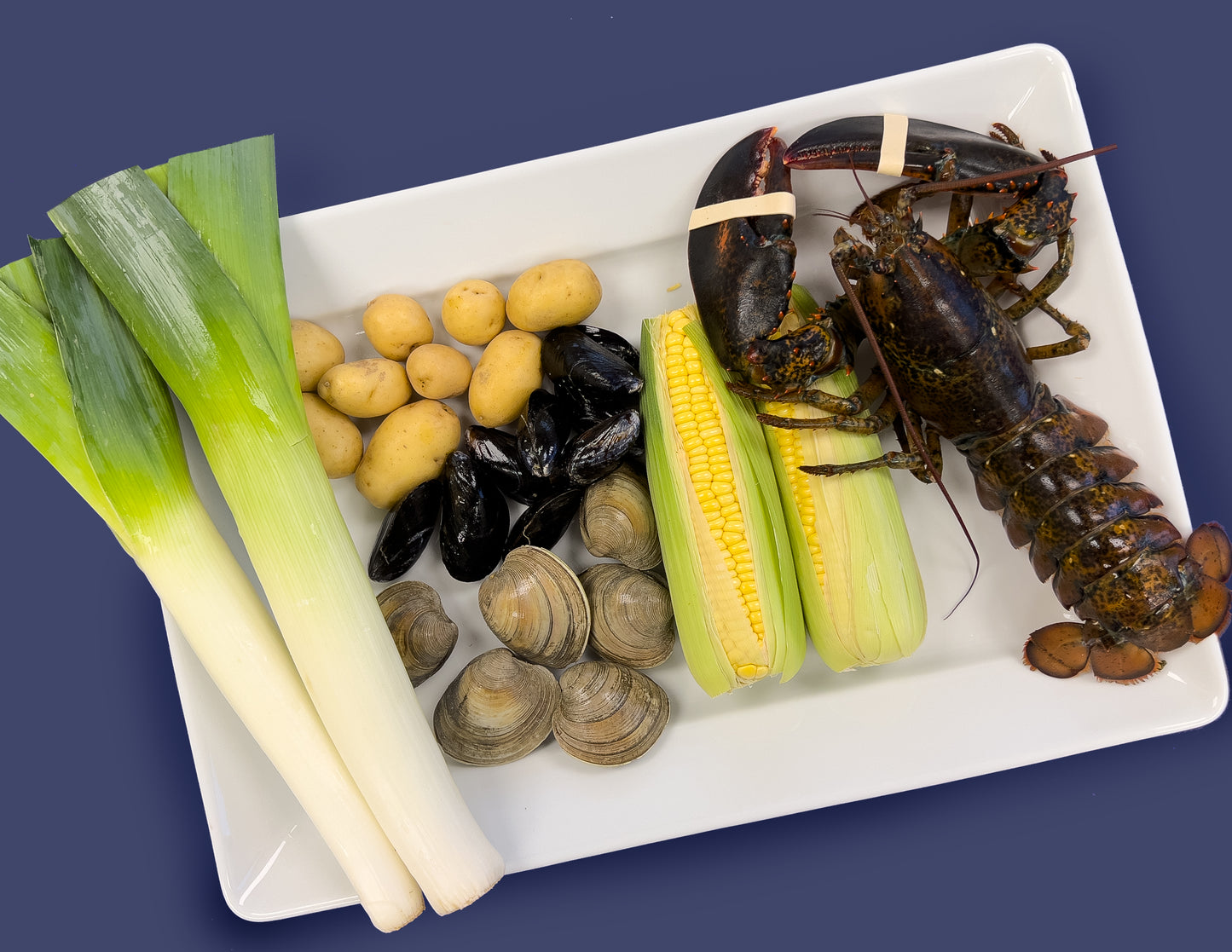 Clam Bake Box