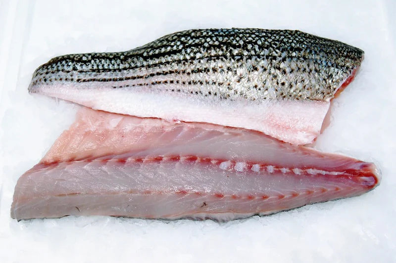 8oz Wild Striped Bass Filets