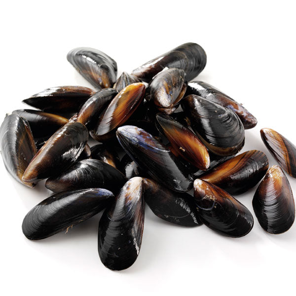 Canadian Mussels