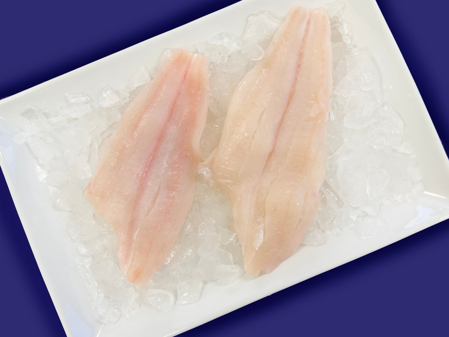 8oz Fluke Filets